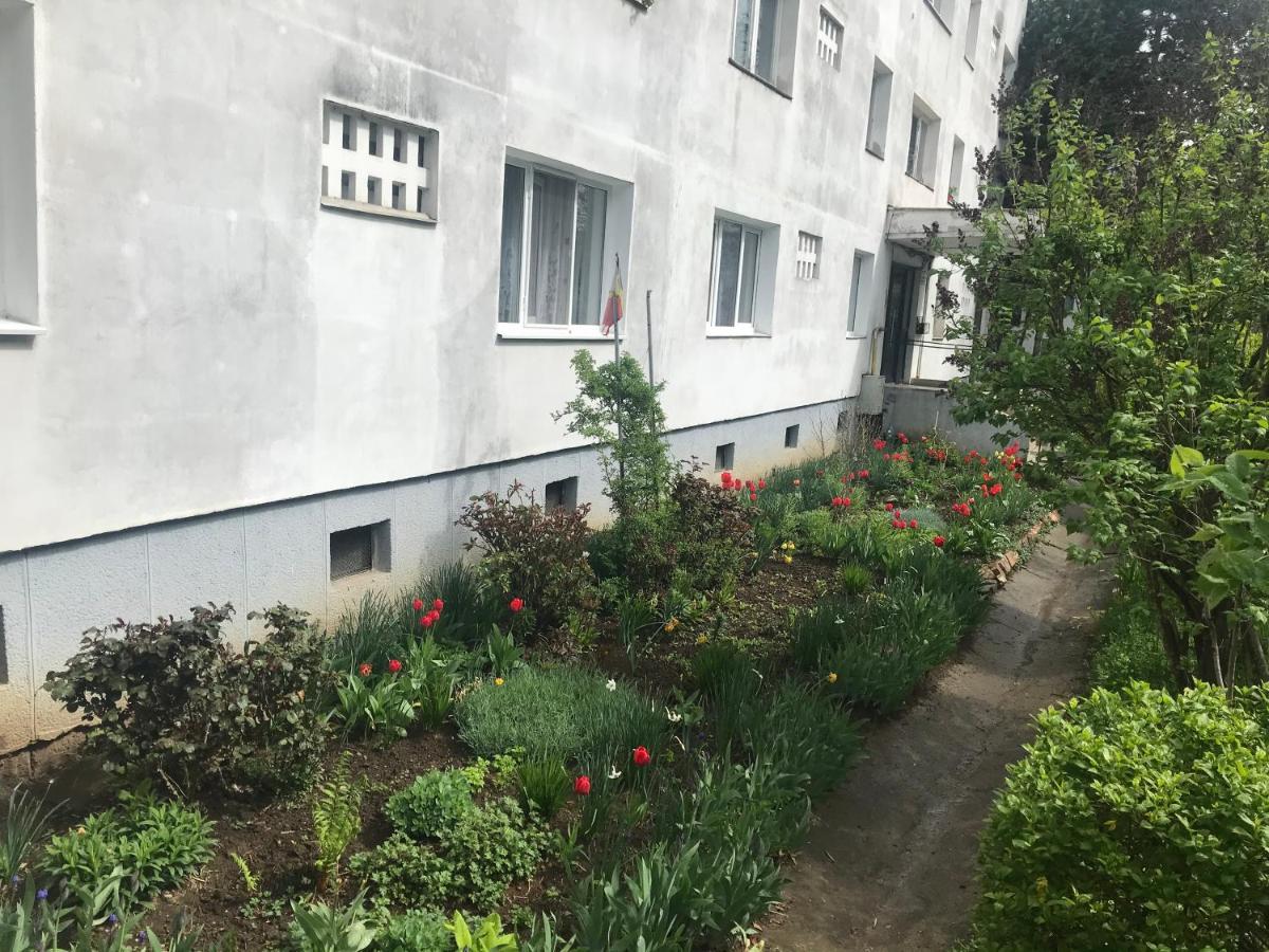 Apartament Colina Cluj-Napoca Eksteriør billede